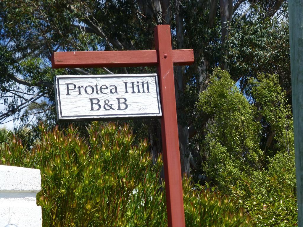 Bed and Breakfast Protea Hill Launceston Exterior foto