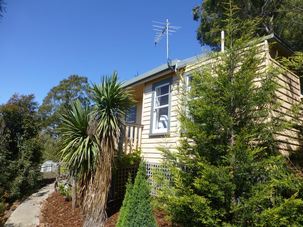 Bed and Breakfast Protea Hill Launceston Exterior foto